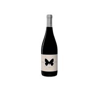 Ausonia Montepulciano d'Abruzzo Apollo 2022