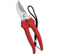Forbice raccolta a mezzaluna ausonia cm 19 conf. da 12pz