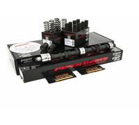 Austin Rover B Series 18V MGA MGB Fast Road Piper Camshaft Follower Springs