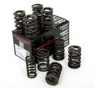 Austin Rover B Series MGA MGB Piper Albero A Camme Molle A Doppia Valvola VDSB2