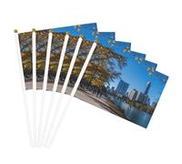 Austin Texas Bandiera leggera palmare bandiera fronte-retro bandiere partito parata decorazione casa celebrazioni