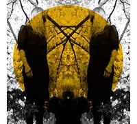 Austra Feel It Break (Vinyl LP)