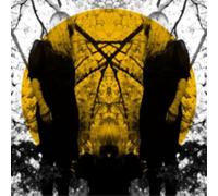 Austra - Feel It Break