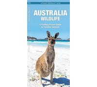 Australia Wildlife: A Folding Pocket Guide to Familiar Animals