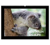 Australia Wildlife (Wandkalender 2026 DIN A2 quer), CALVENDO Monatskalender: Portraits von Australiens einzigartiger Tierwelt