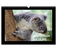 Australia Wildlife (Wandkalender 2026 DIN A3 quer), CALVENDO Monatskalender: Portraits von Australiens einzigartiger Tierwelt