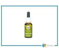 Australian bush flower concentration 30ml