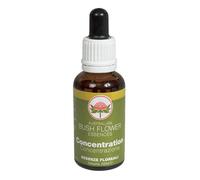 Australian Bush Flower Concentration - Gocce di essenze floreali per la concentrazione, 30 ml
