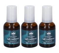 Australian Bush Flower Essences Self Confidence Spray Orale 3x30 ml