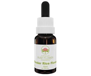 Australian Bush Flower Essences Slender Rice Flower 15ml