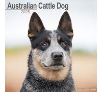 Australian Cattle Dog 2025 Square Wall Calendar | Dog Breed Calendar