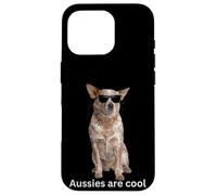 Australian Cattle Dog Red Heeler Blue Heeler divertente australiano Custodia per iPhone 16 Pro