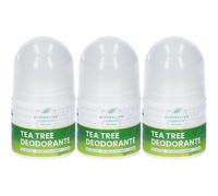 Australian Company Tea Tree Deo Roll On 3x50 ml