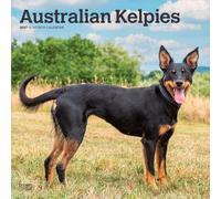 Australian Kelpies | 2027 12 x 24 Inch (Hanging) Monthly Square Wall Calendar | Plastic-Free | BrownTrout | Animal Dog Breeds