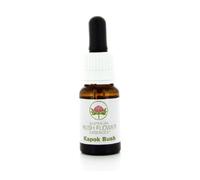 Australian kopok bush 15ml