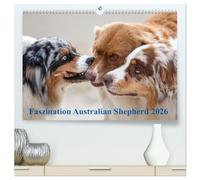 Australian Shepherd 2026 (hochwertiger Premium Wandkalender 2026 DIN A2 quer), Kunstdruck in Hochglanz: Mit den Aussies durch's Jahr...