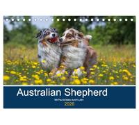 Australian Shepherd 2026 (Tischkalender 2026 DIN A5 quer), CALVENDO Monatskalender: Mit Paul und Maex durch's Jahr
