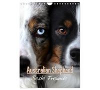 Australian Shepherd - Beste Freunde (Wandkalender 2027 DIN A4 hoch), CALVENDO Mo