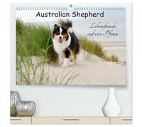 Australian Shepherd - Lebensfreude auf vier Pfoten (hochwertiger Premium Wandkalender 2026 DIN A2 quer), Kunstdruck in Hochglanz: Die Abenteuer eines powervollen Australian Shepherd