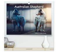 Australian Shepherd - Vielfalt in einer Rasse (hochwertiger Premium Wandkalender 2026 DIN A2 quer), Kunstdruck in Hochglanz: Australian Shepherds in Ihrer ganzen Vielfalt