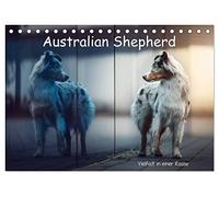 Australian Shepherd - Vielfalt in einer Rasse (Tischkalender 2026 DIN A5 quer), CALVENDO Monatskalender: Australian Shepherds in Ihrer ganzen Vielfalt