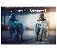 Australian Shepherd - Vielfalt in einer Rasse (Wandkalender 2026 DIN A2 quer), CALVENDO Monatskalender: Australian Shepherds in Ihrer ganzen Vielfalt