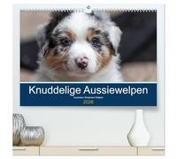 Australian Shepherd Welpen 2026 (hochwertiger Premium Wandkalender 2026 DIN A2 quer), Kunstdruck in Hochglanz: Sie sind bunt, frech und ganz wundervoll die kleinen Racker!