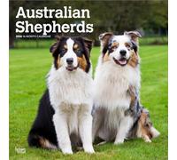 Australian Shepherds 2026 - 16-Monatskalender: Original BrownTrout-Kalender [Mehrsprachig] [Kalender]