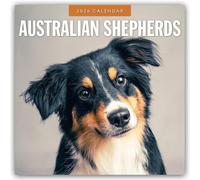 Australian Shepherds - Australian Shepherd 2026 - 16-Monatskalender: Original Red Robin Publishing Ltd-Kalender [Mehrsprachig] [Kalender]