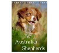 Australian Shepherds (Tischkalender 2026 DIN A5 hoch), CALVENDO Monatskalender: 13 wunderschöne Australian Shepherd Motive für das ganze Jahr