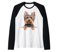 Australian Silky Terrier, Simpatico Amante dei Cani Che Fanno capolino Maglia con Maniche Raglan