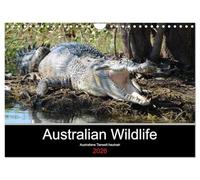 Australian Wildlife (Wandkalender 2026 DIN A4 quer), CALVENDO Monatskalender: Australiens Tierwelt hautnah erleben.