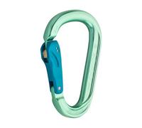 AustriAlpin HMS Rondo - moschettone Green unisex Alluminio