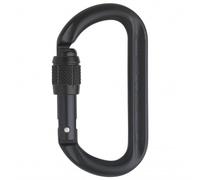 AustriAlpin - Ovalo GI Schraubverschluss - Moschettoni a chiusura grigio