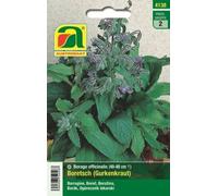 AUSTROSAAT Borragine - 1 conf.