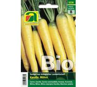 AUSTROSAAT Carota Bio - Yellowstone - 1 conf.