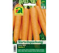 AUSTROSAAT Carota "Nantes 2" - 1 conf.