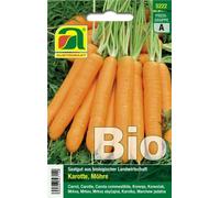 AUSTROSAAT Carota "Nantes 2" Bio - 1 conf.