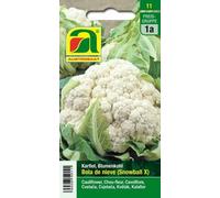 AUSTROSAAT Cavolfiore - Bola de Nieve - 1 pz.