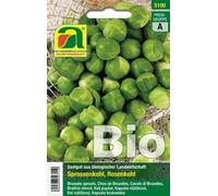 AUSTROSAAT Cavolo di Bruxelles Bio - Groninger - 1 pz.