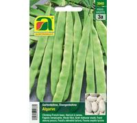 AUSTROSAAT Fagiolo Rampicante - Algarve - 1 conf.