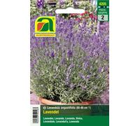 AUSTROSAAT Lavanda "Vera" - 1 conf.