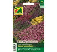 AUSTROSAAT Mix di Fiori per Giardino Roccioso - 1 conf.