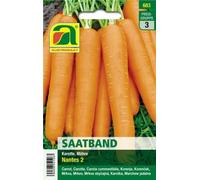 AUSTROSAAT Nastro per la Semina - Carota "Nantes" - 1 conf.