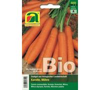 AUSTROSAAT Nastro per la Semina - Carota "Nantes 2" - 1 conf.