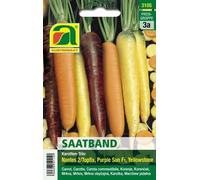 AUSTROSAAT Nastro per la Semina - Trio di Carote - 1 pz.