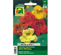 AUSTROSAAT Nasturzio - Gleam Mix - 1 conf.