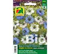 AUSTROSAAT Nigella Damascena Bio - Blu e Bianca - 1 conf.