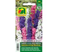 AUSTROSAAT Speronella - Mix di Fioritura a Giacinto - 1 conf.