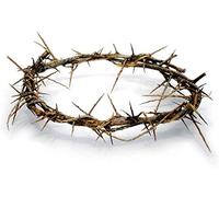 Autentica corona di spine biblica a grandezza naturale, 20,3 cm, con certificato